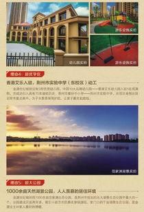 荆州爆料最新消息视频,最新视频揭露惊人内幕！